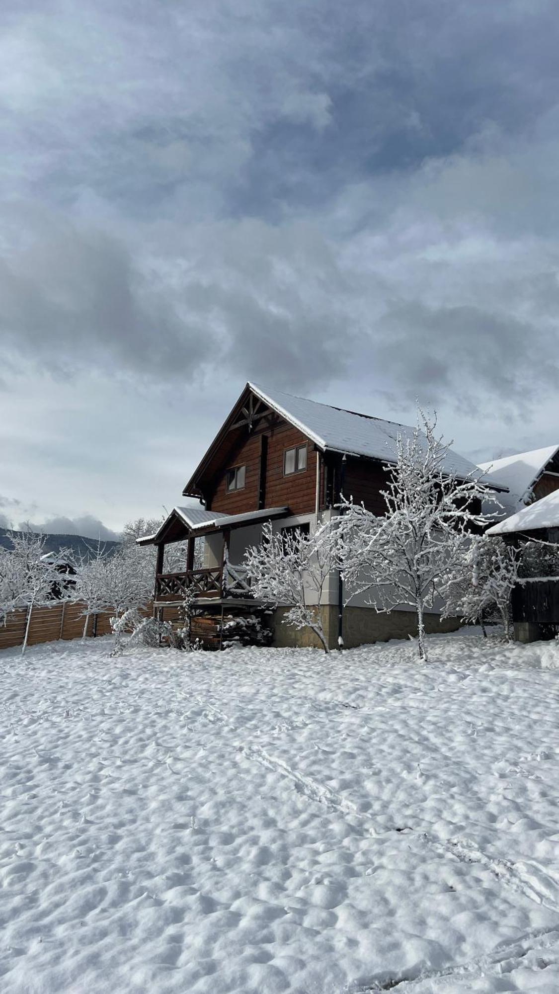 Villa Perfect Jaremče Esterno foto