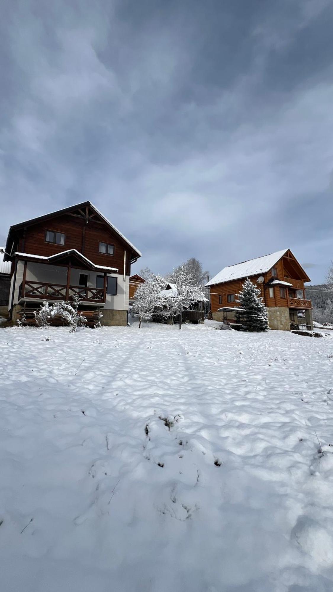 Villa Perfect Jaremče Esterno foto